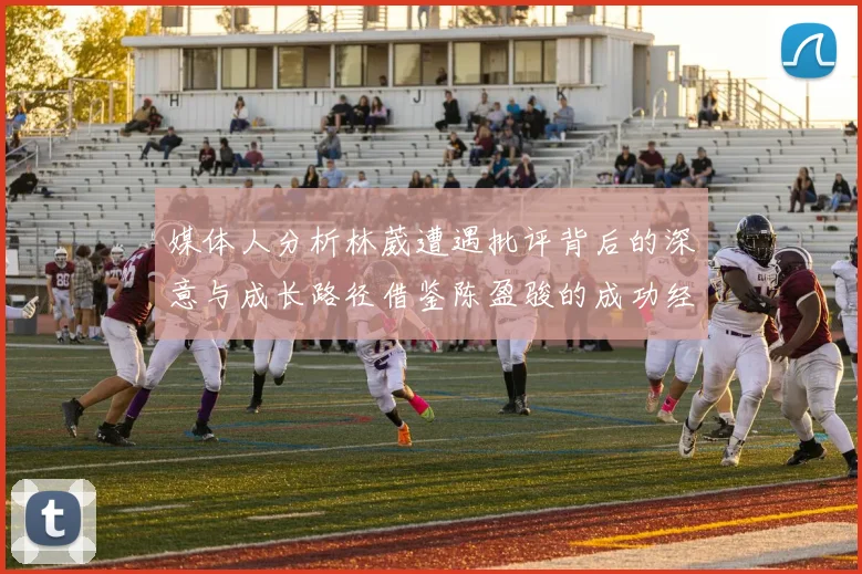 媒体人分析林葳遭遇批评背后的深意与成长路径借鉴陈盈骏的成功经验