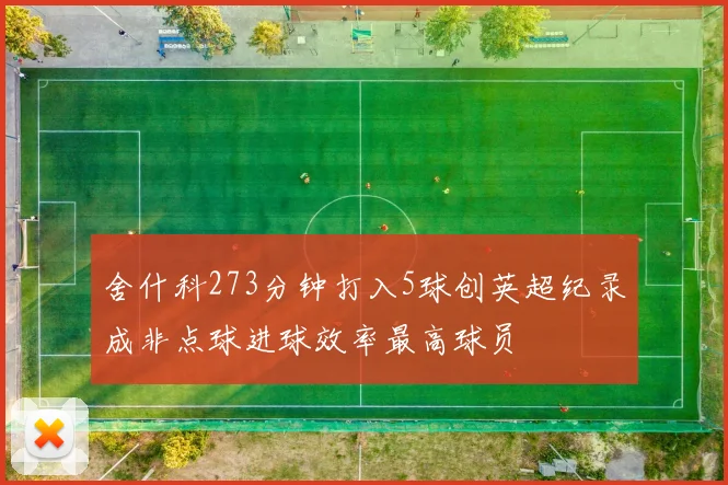 舍什科273分钟打入5球创英超纪录成非点球进球效率最高球员